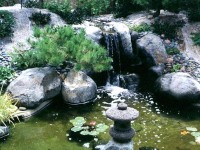 water22