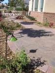 San-Diego-Stamped-Concrete