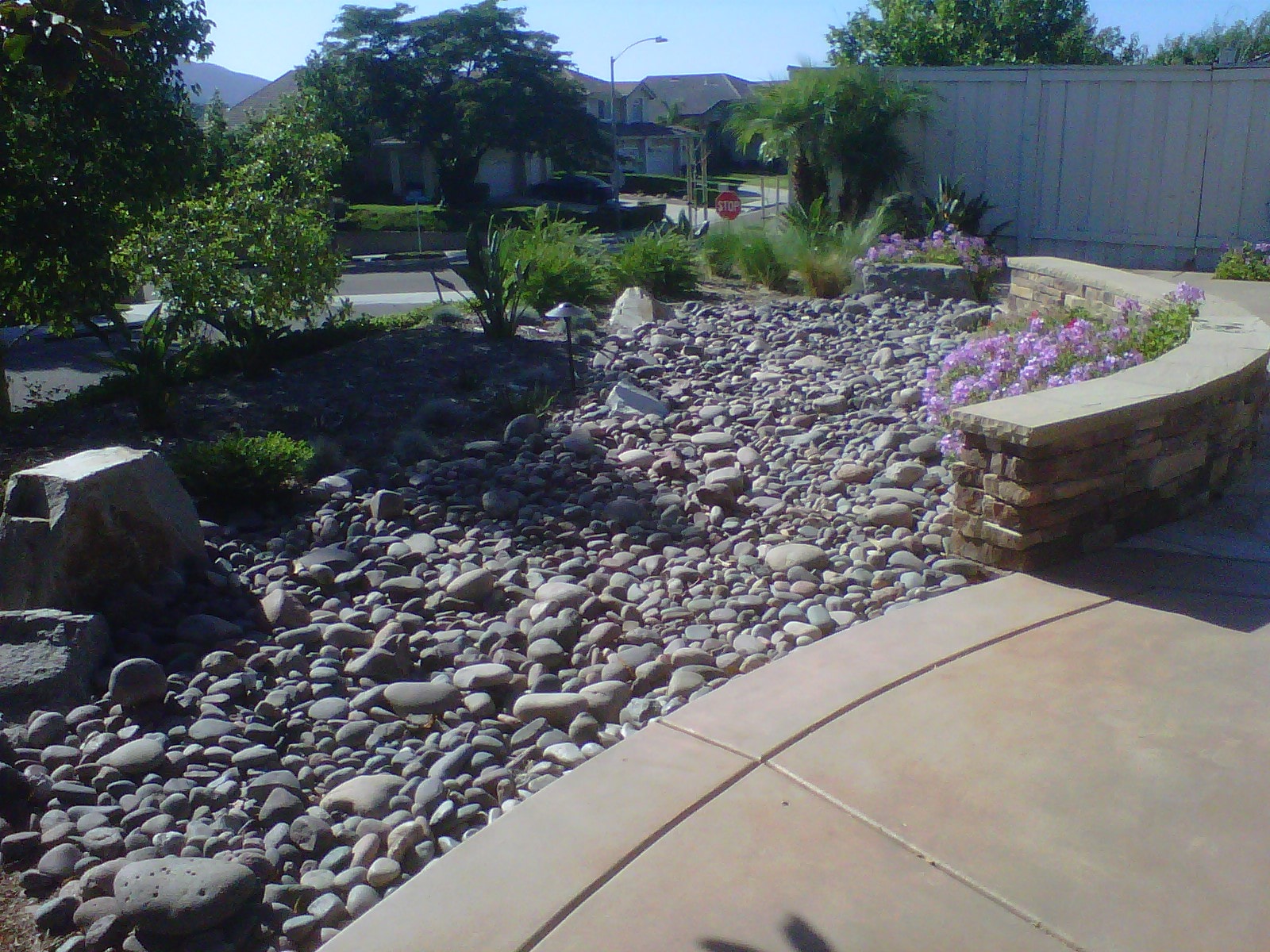 San-Diego-Garden-Landscape-Fordyce-min