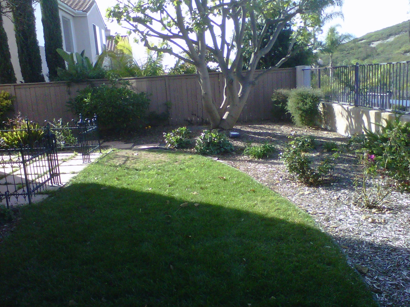 San-Diego-Garden-Landscape-Mc-Williams-01-min