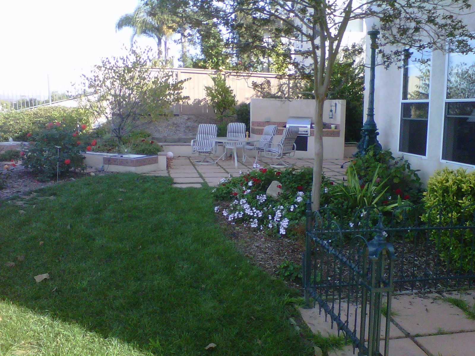 San-Diego-Garden-Landscape-Mc-Williams-02-min