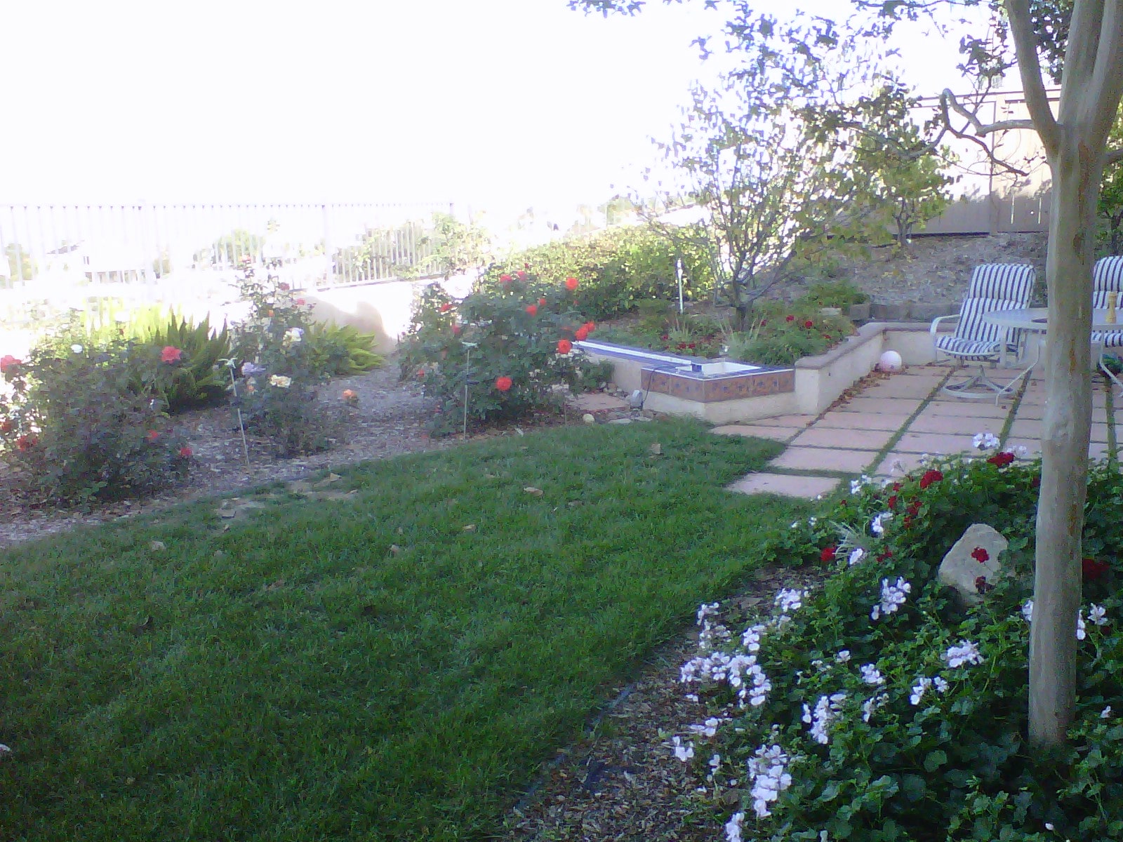 San-Diego-Garden-Landscape-Mc-Williams-min