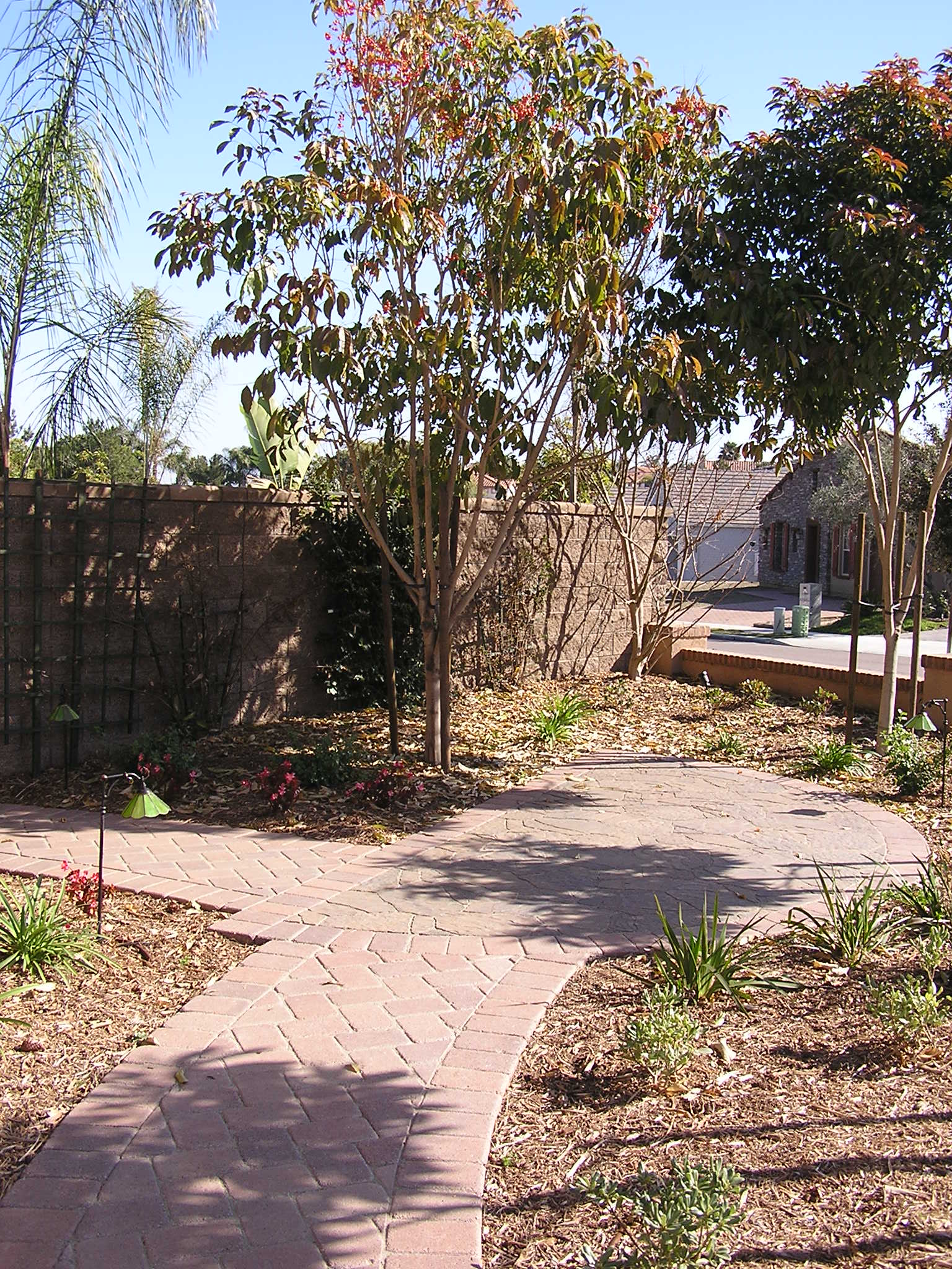 San-Diego-Interlocking-Paving-Rode-min