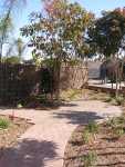 San-Diego-Interlocking-Paving-Rode-min