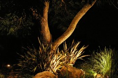 LOW VOLTAGE OUTDOOR LIGHTING