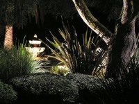 Lighting-14