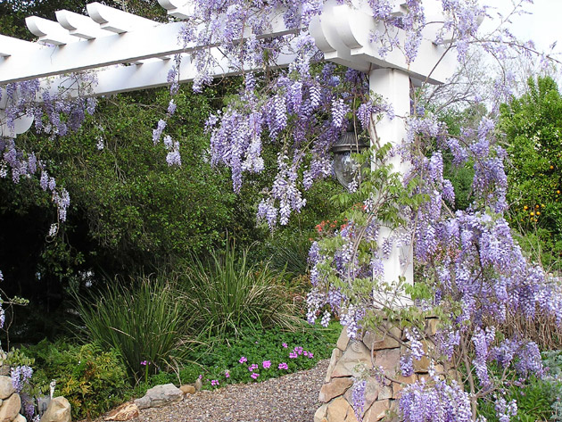 Patios_Decks-29