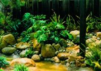 RockStreams-15-min