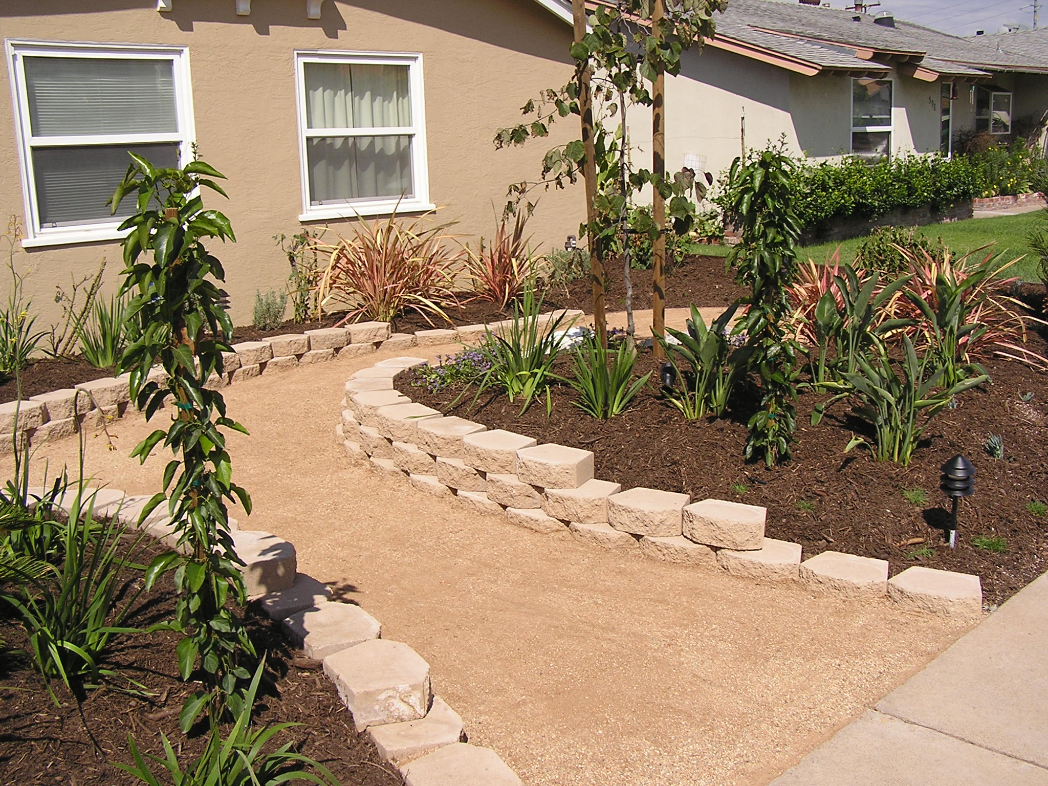 San-Diego-Frontyard-Haney-3-min