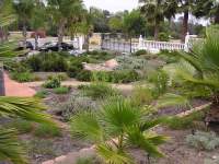 San-Diego-Courtyard-Gross-min