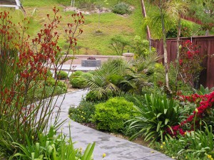 escondido-landscape-design