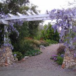 landscape design San Diego