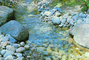 Rocks and Streambeds