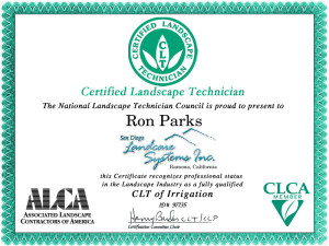 CLT-Award_Certificate