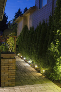 Normal Heights Landscape Lighting