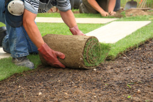 Lincoln Acres Landscape Contractor