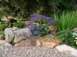 sustainable landscaping San Diego, CA