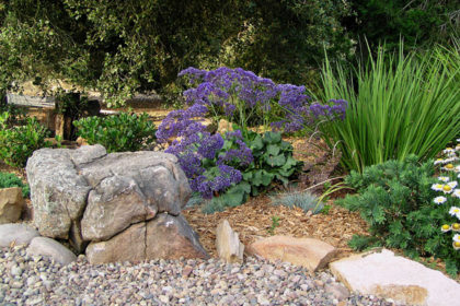 sustainable landscaping San Diego, CA