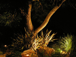 low voltage outdoor lighting San Diego CA