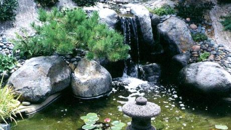 water garden San Diego CA