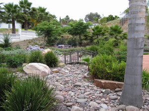 natural landscape design San Diego CA