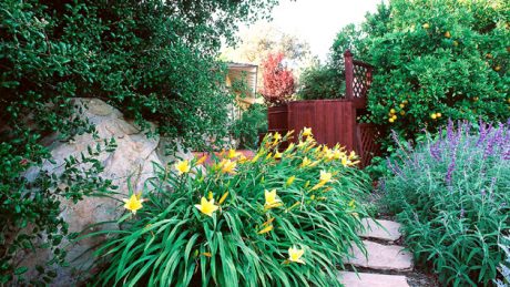 landscape design company San Diego CA