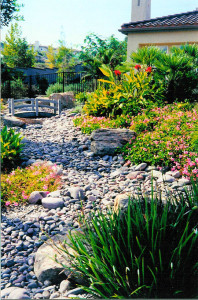 natural landscape design Ramona ca